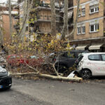 Natale, forte vento a Roma: a Colli Aniene crolla un albero uccidendo una donna, mentre a Talenti cade un grosso ramo e danneggia alcune auto